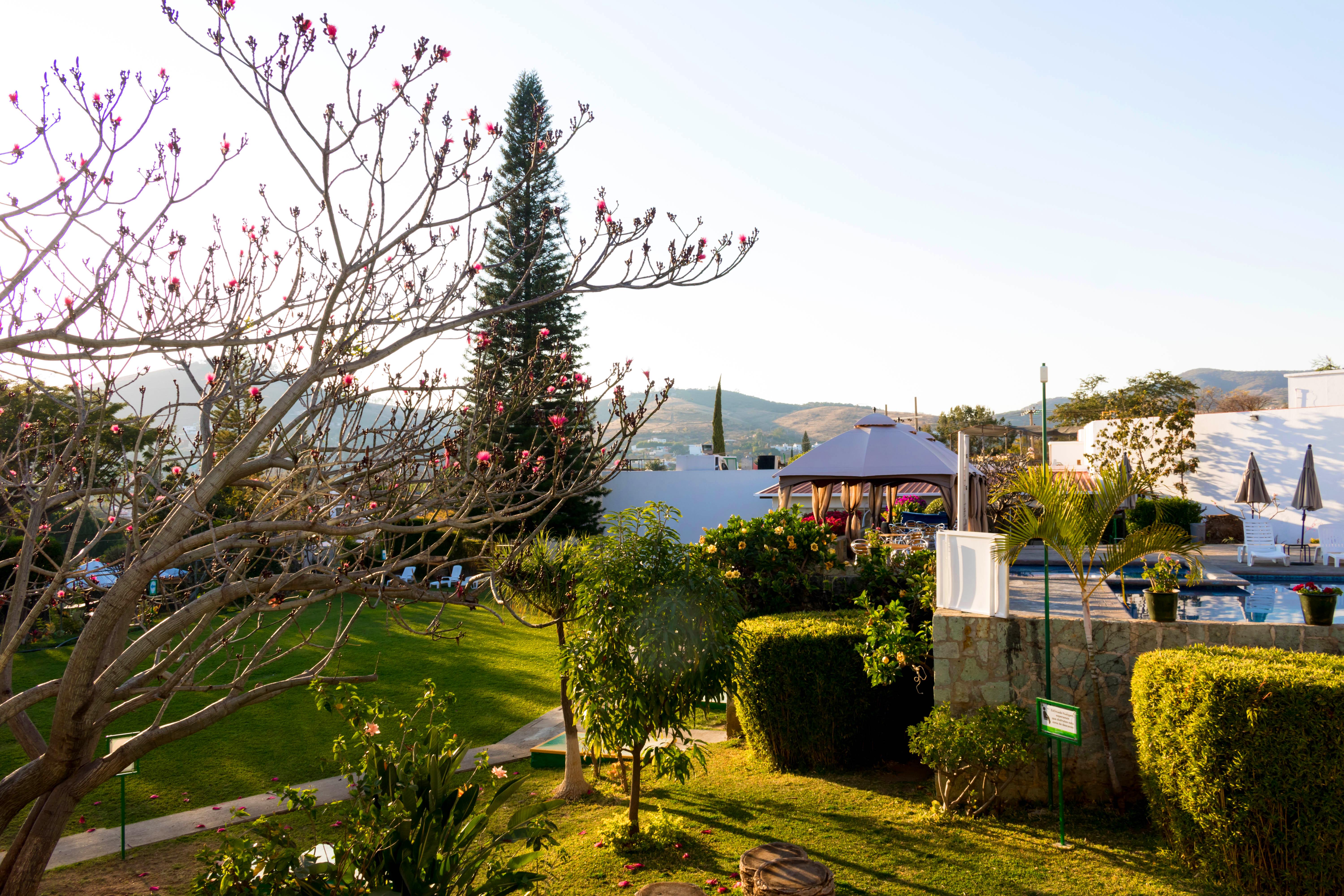 Отель Mision Oaxaca Экстерьер фото